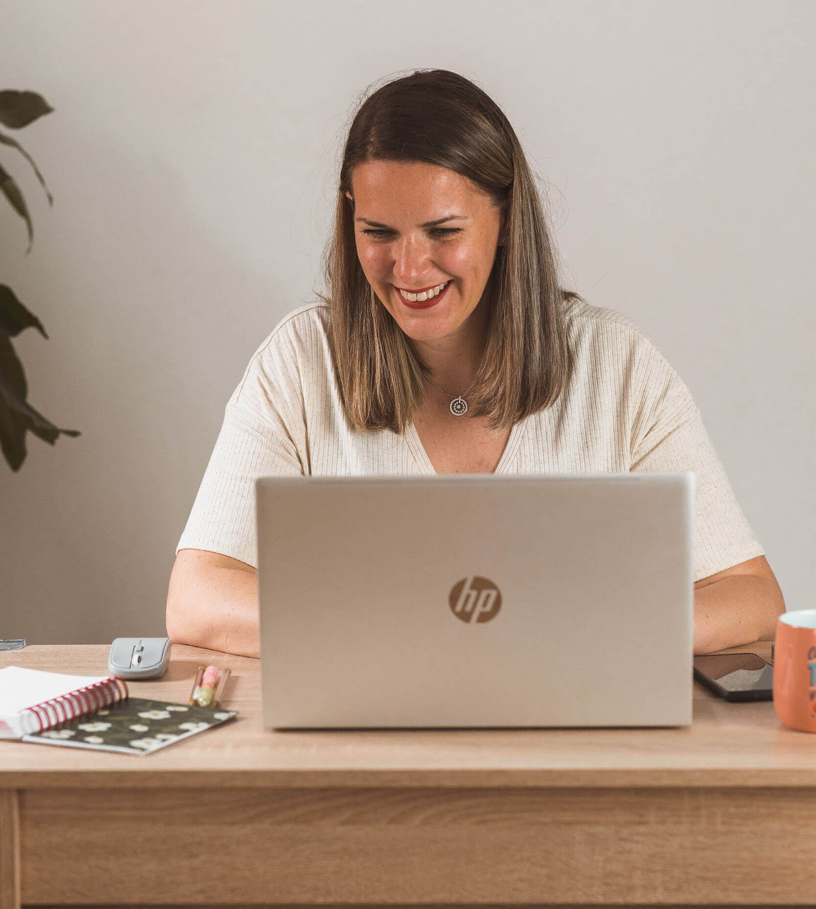 asesoria facial online